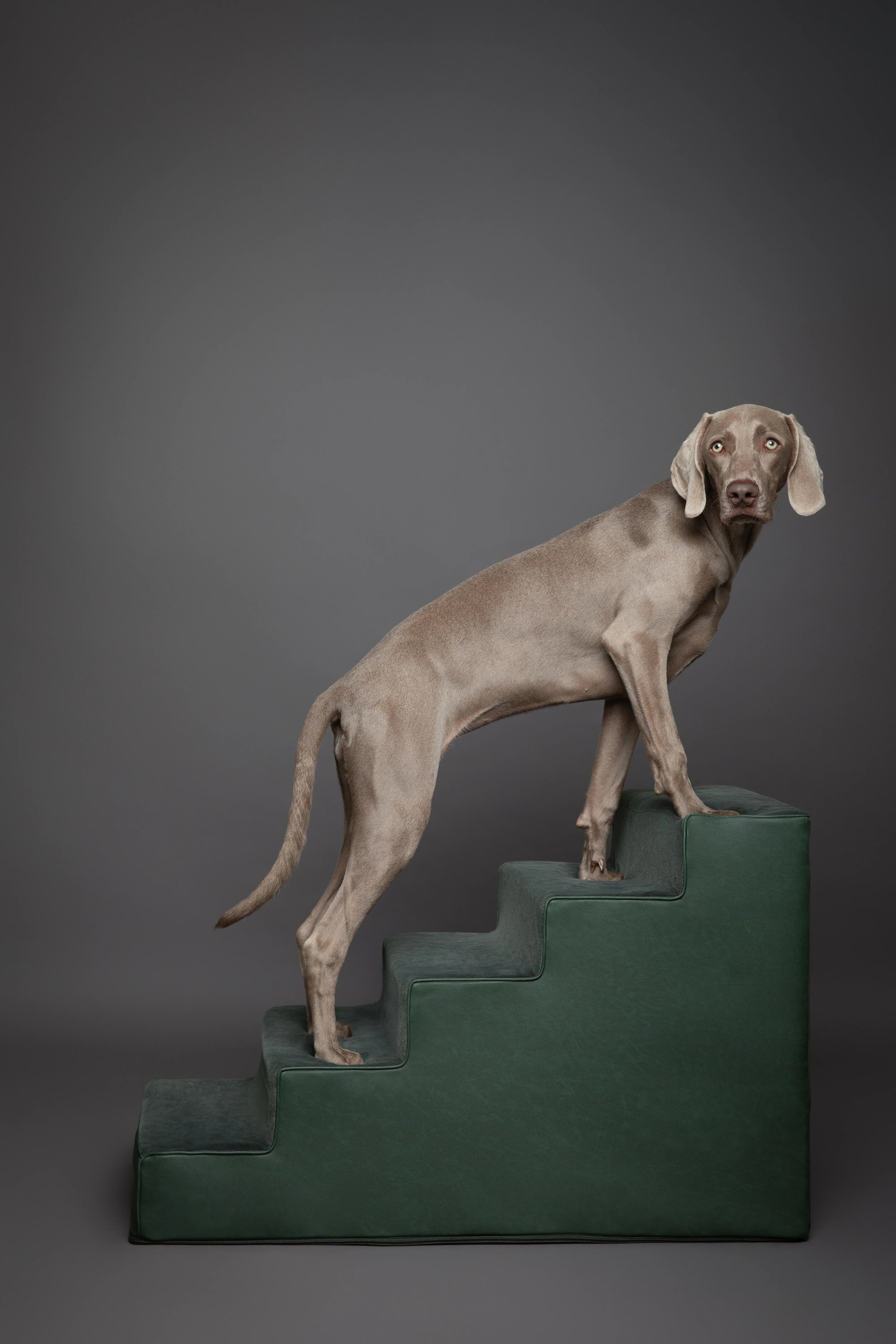 Luxury Dog Stairs for Bed, Faux Leather Collection, Dark Green