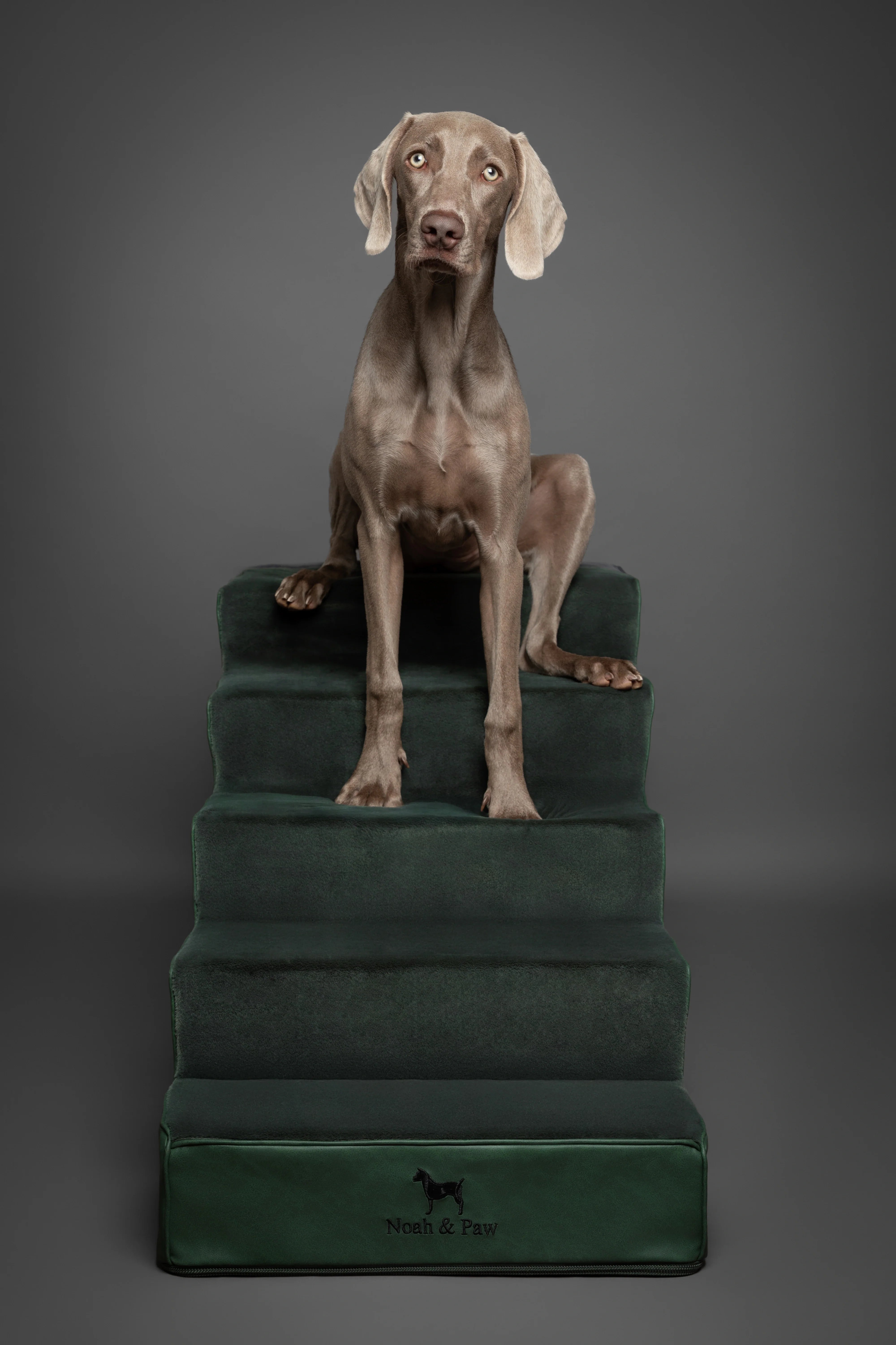 Luxury Dog Stairs for Bed, Faux Leather Collection, Dark Green