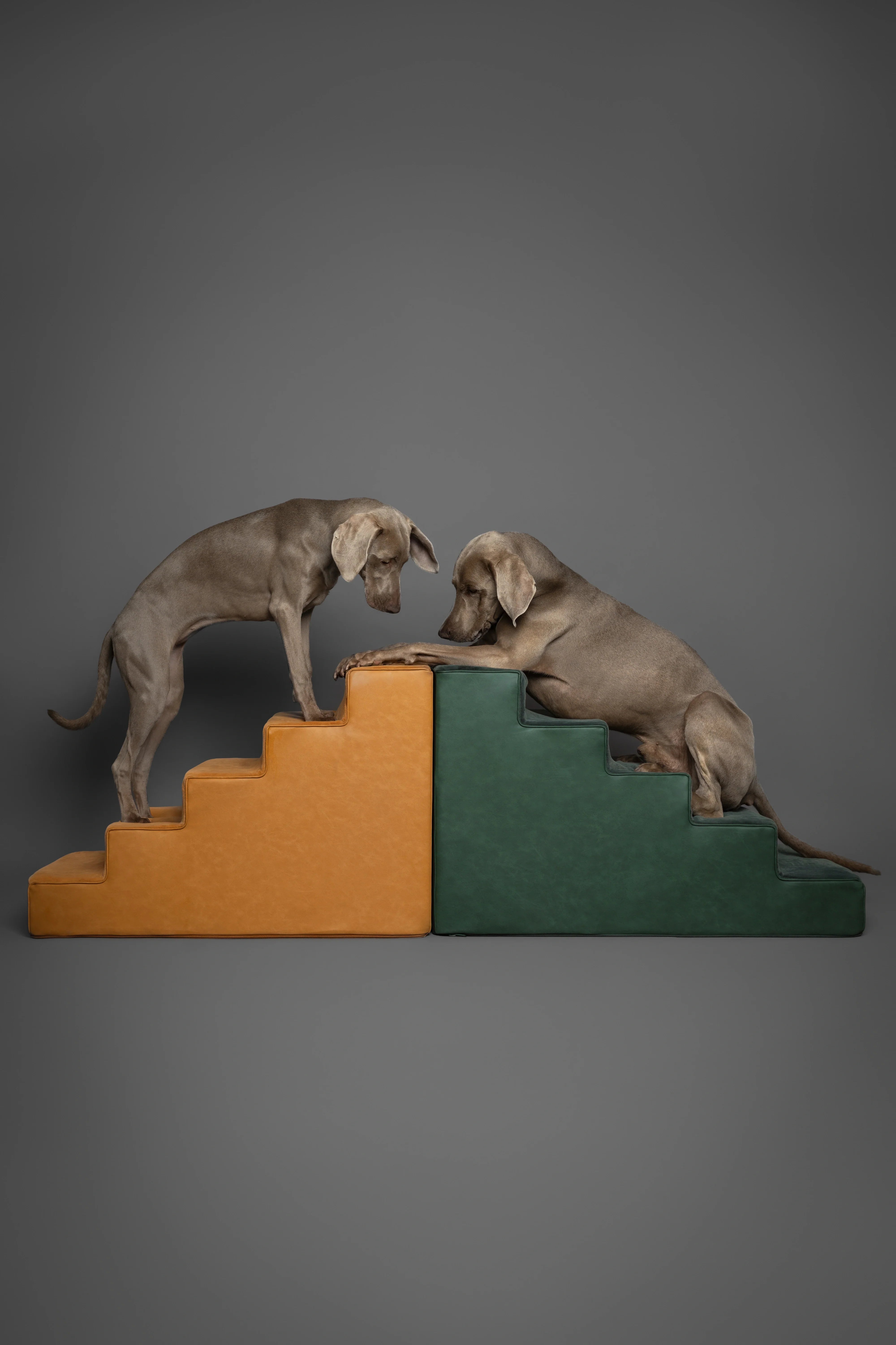 Luxury Dog Stairs for Bed, Faux Leather Collection, Dark Green