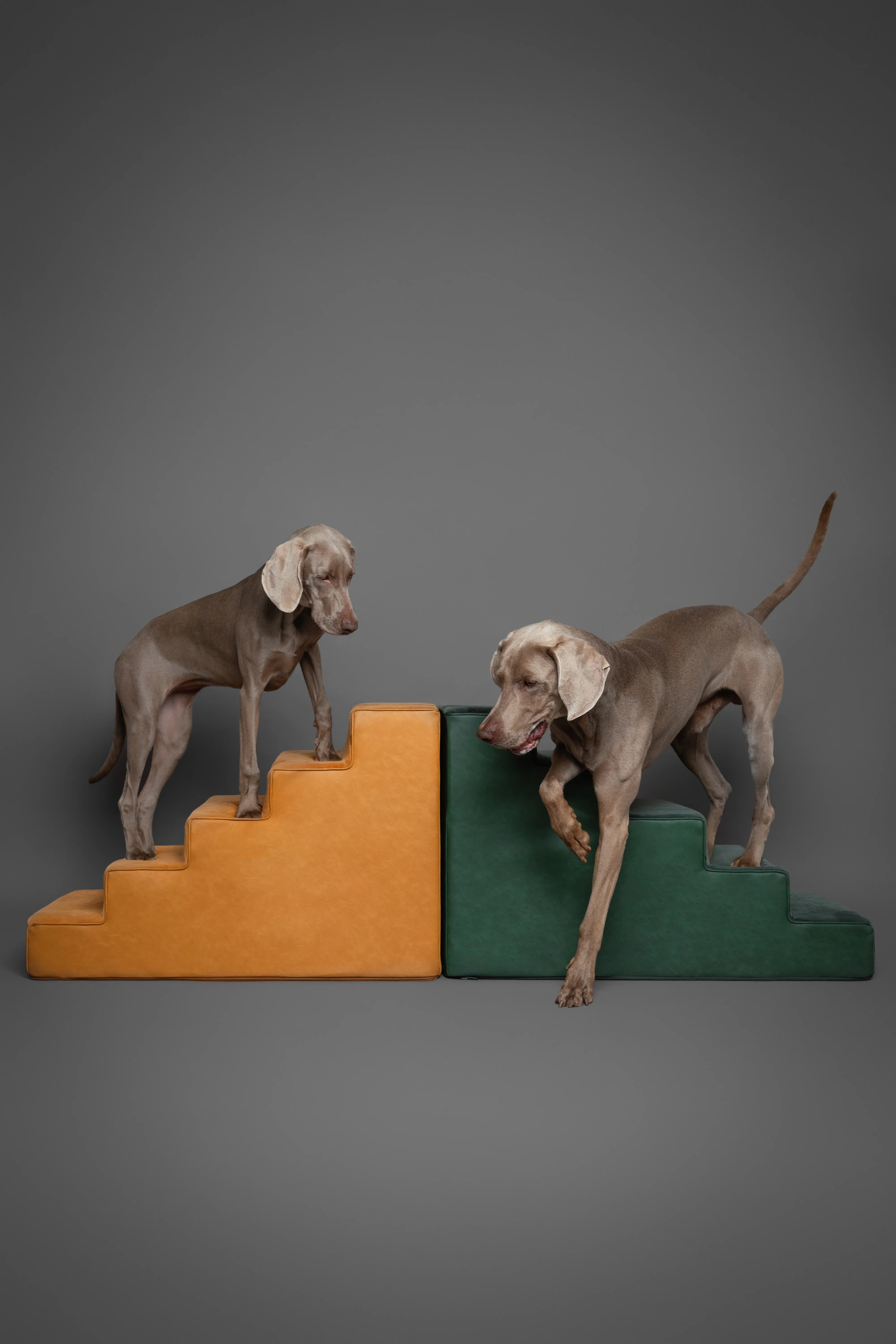 Luxury Dog Stairs for Bed, Faux Leather Collection, Dark Green