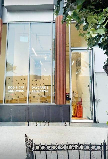 Screen Shot 2025-07-23 at 23.17.47-fotor-20250723232014.png__PID:7d19a6d6-7b54-47aa-93ba-c118d8a12452