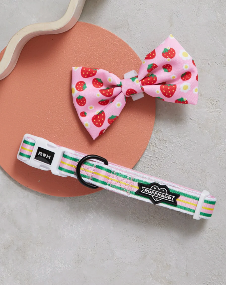 Strawberry Striped Collar & Bowtie