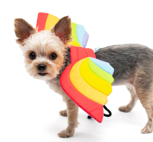 Rainbow Wing