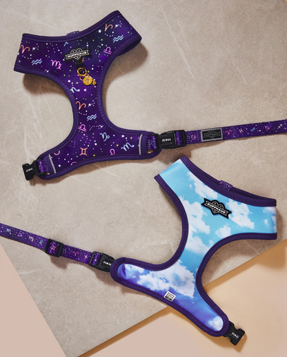 Zodiac Drip Reversible Harness
