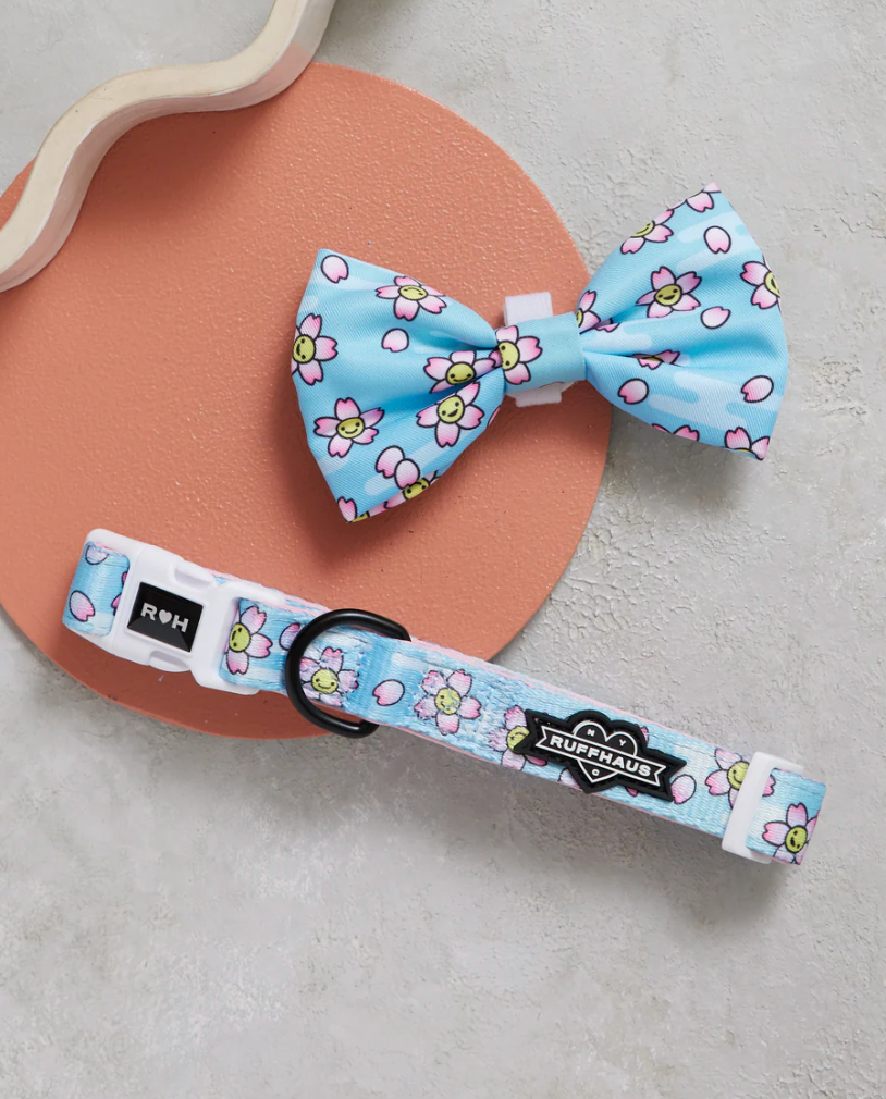 Smiling Sakura Dog Collar & Bowtie