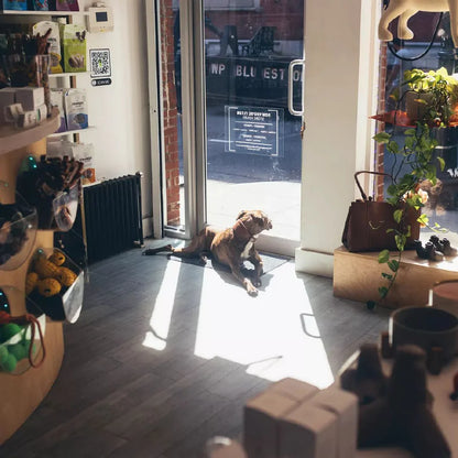 Screenshot_2023-10-26_at_10-04-54_Now_You_re_Clean_nowyoureclean_Instagram_photos_and_videos.webp__PID:68a31871-02ce-4a48-97ae-87c0b7fe0a3f