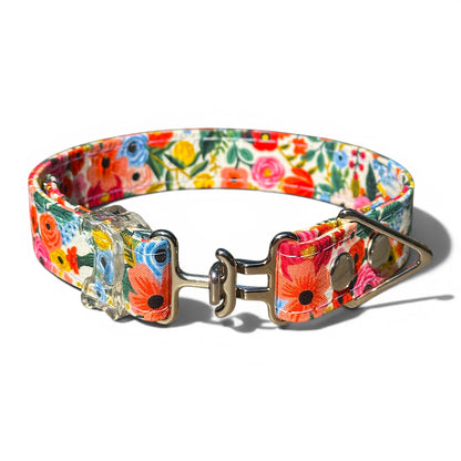Classic Fi-Compatible Dog Collar - Fi GPS Included