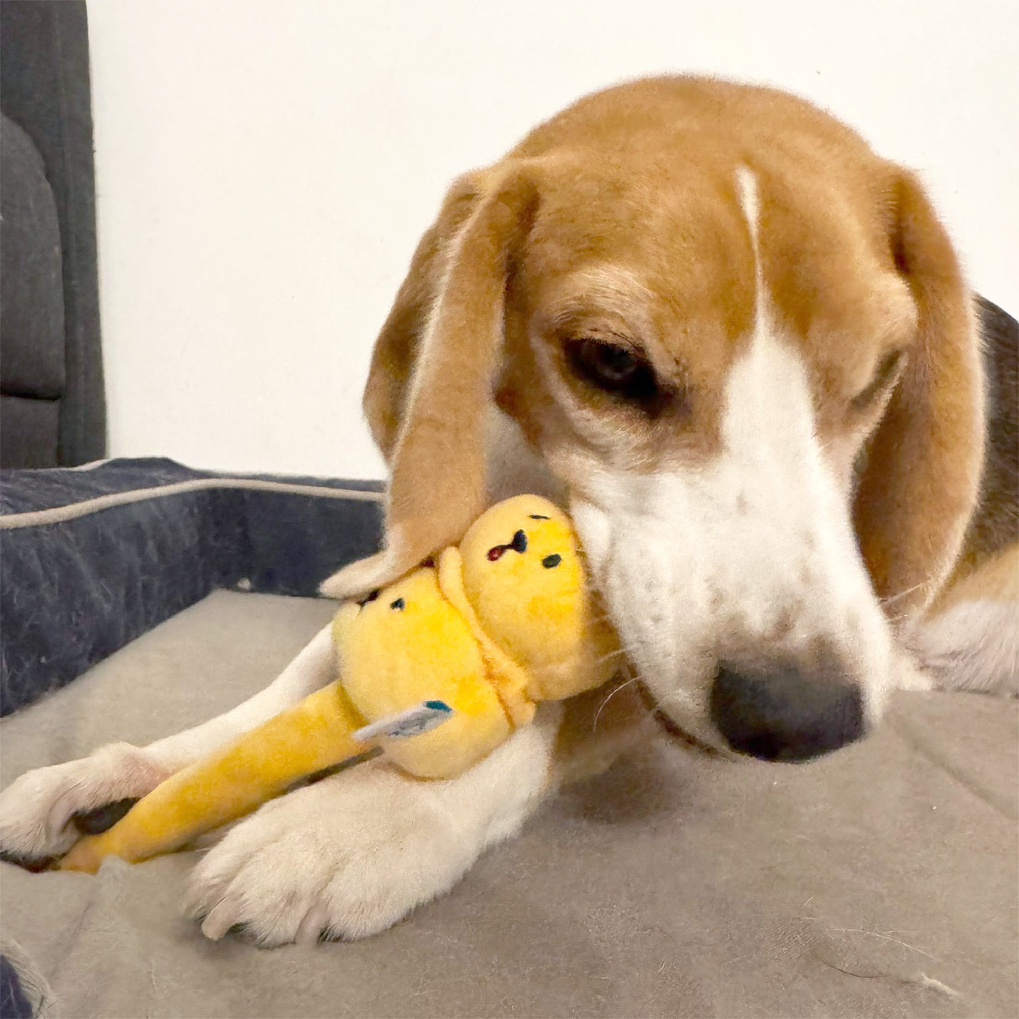 Woof² Siu Mai Brothers Pet Toy