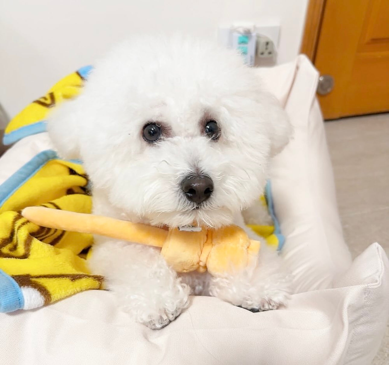 Woof² Siu Mai Brothers Pet Toy