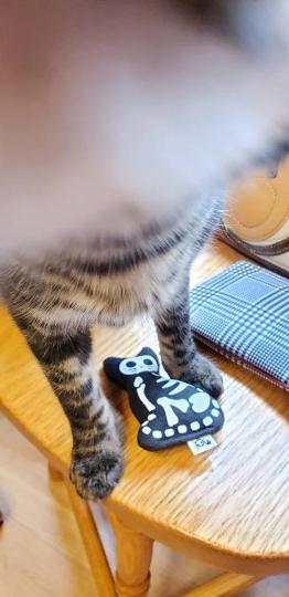 Skelekitty Twin Pack