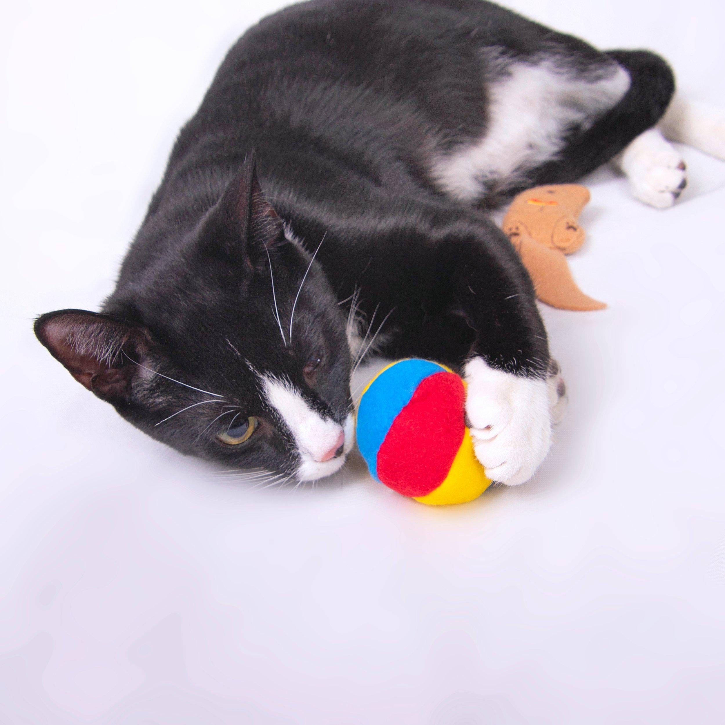 Catnip Otter with Beach Ball