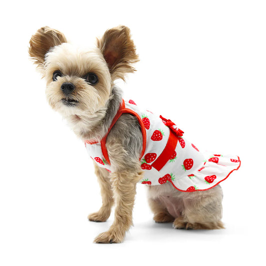 Strawberry Dress