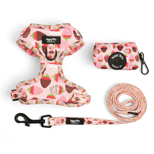 ChocoBerry Bliss Walking Set