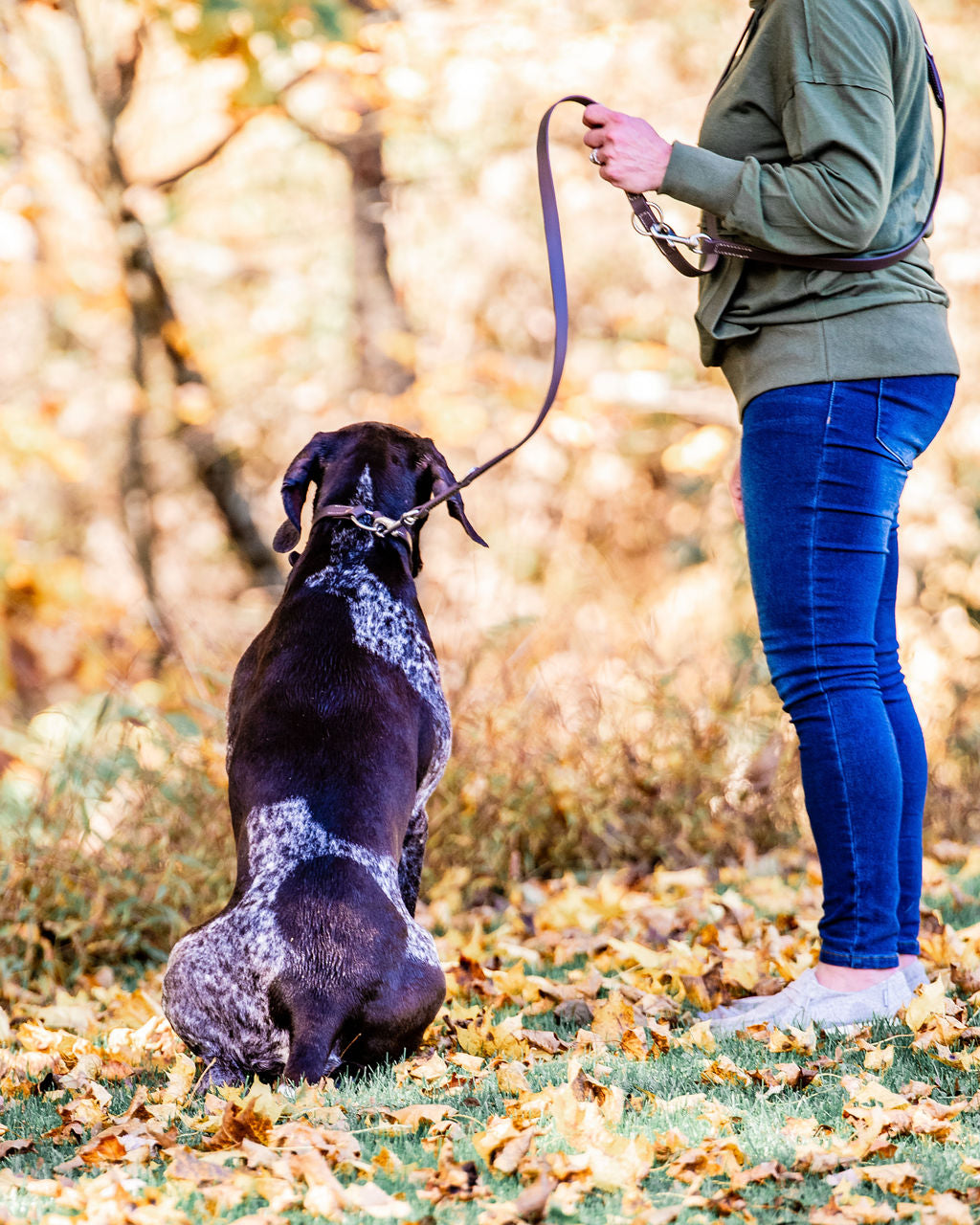 Field Leash H.C.