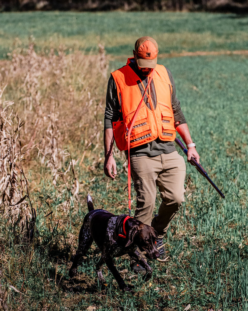 Field Leash H.C.