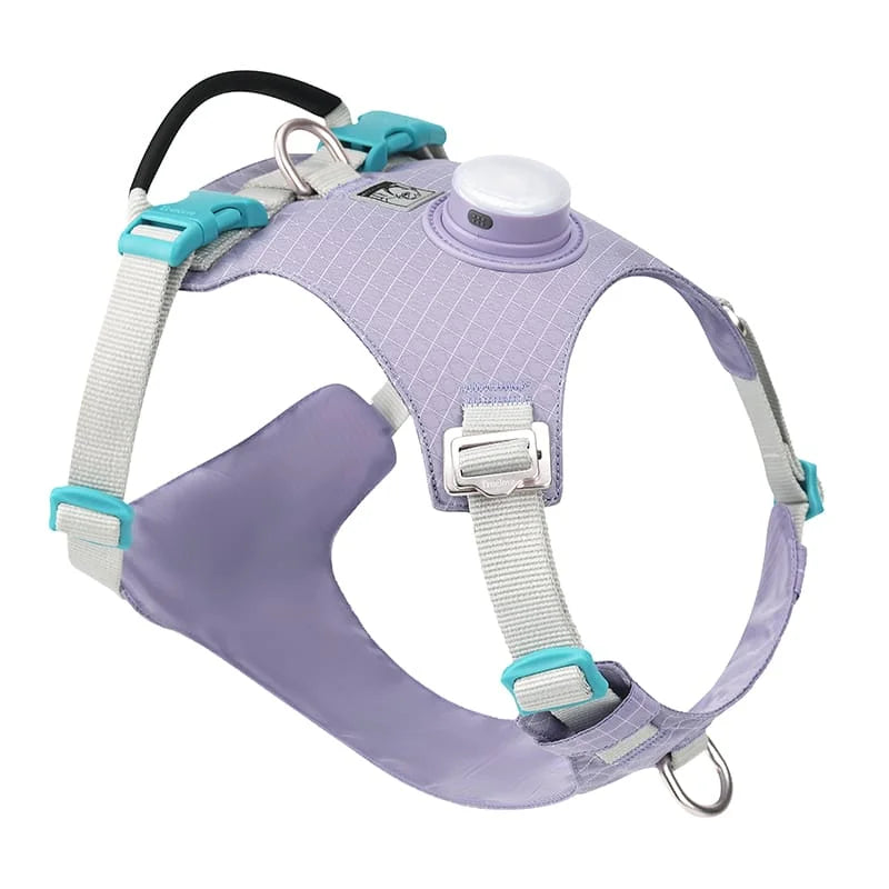 Truelove High-Tech Harness with LED Light and GPS Tracker Holder Innovative Harness - TLH6771
