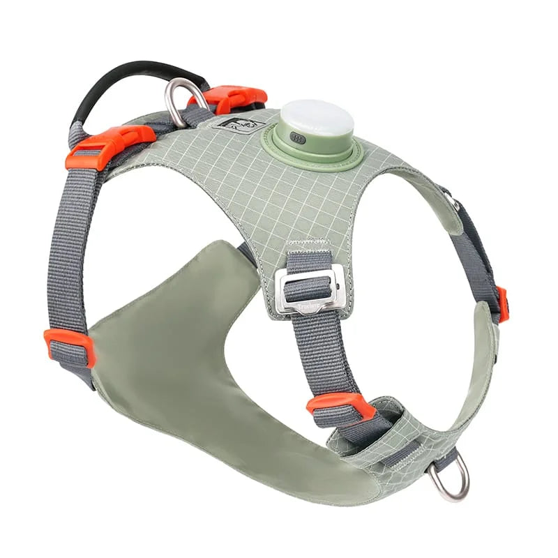 Truelove High-Tech Harness with LED Light and GPS Tracker Holder Innovative Harness - TLH6771