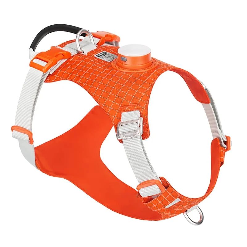 Truelove High-Tech Harness with LED Light and GPS Tracker Holder Innovative Harness - TLH6771