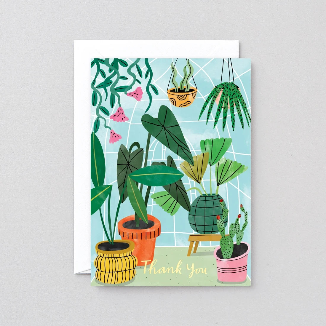 Thank You Plants