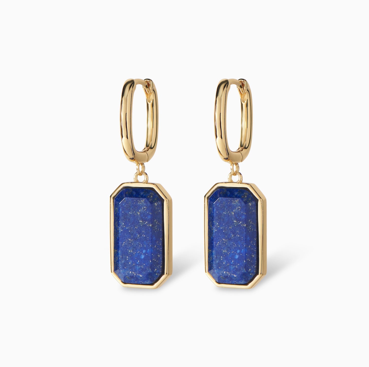 The Tara Tag Earrings