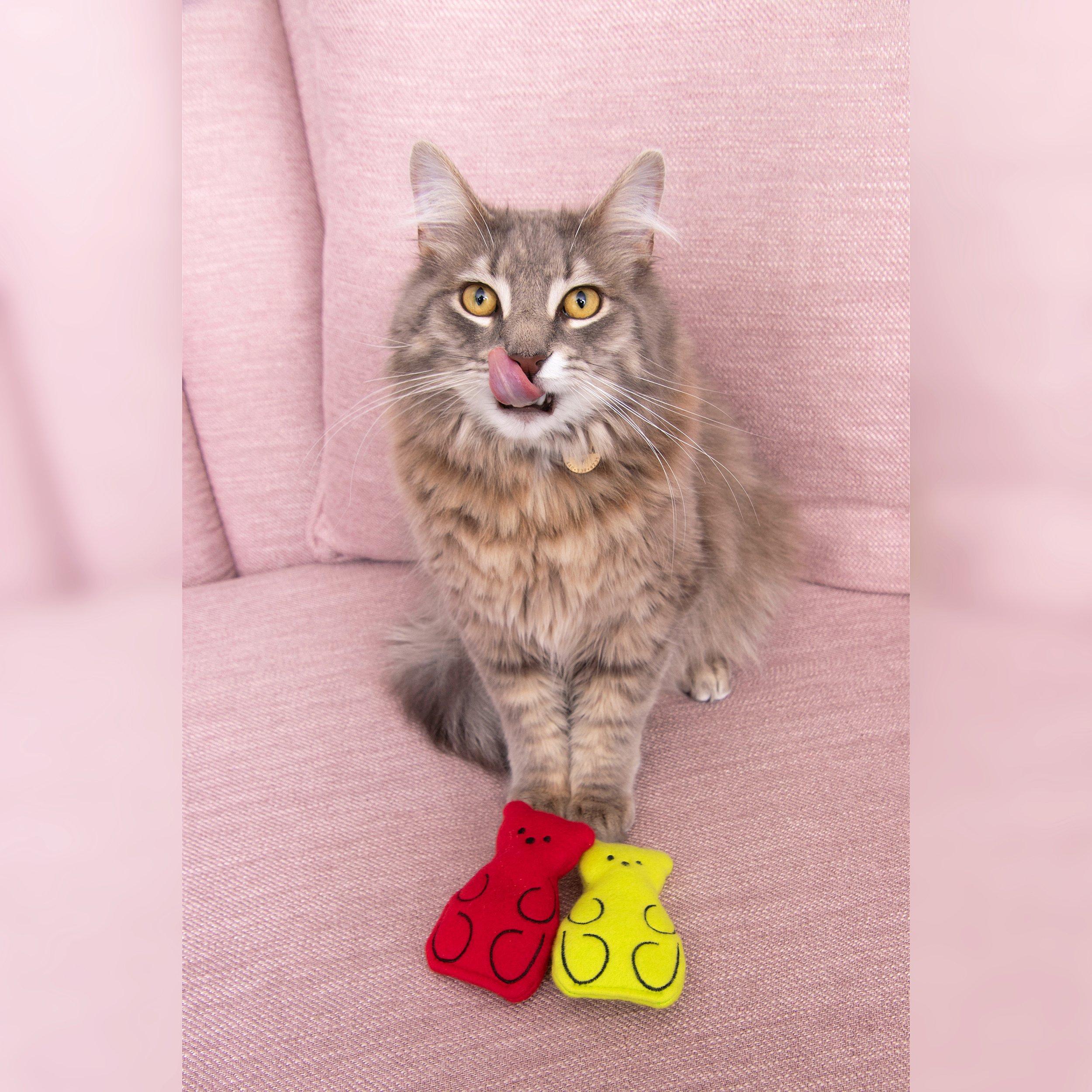 Purr Bears Twin Pack