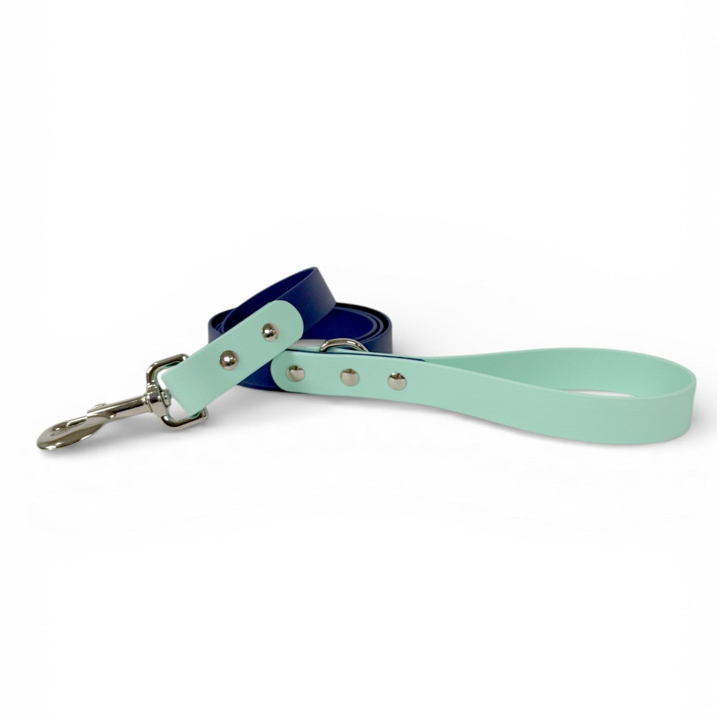 Custom Two-Color Biothane Leash