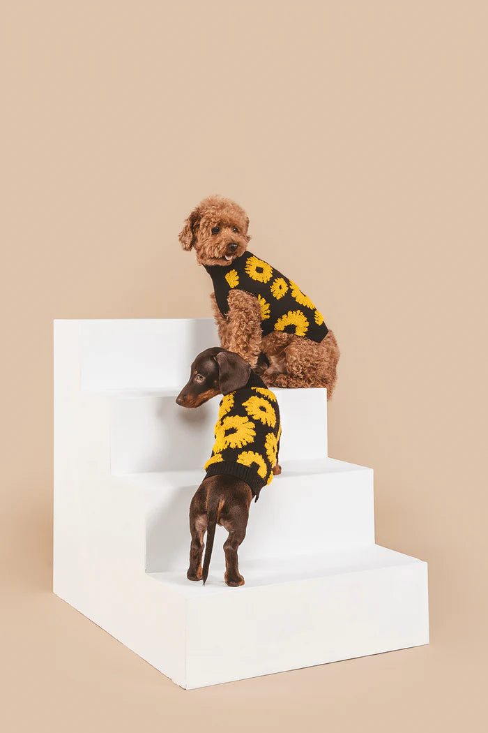 Sunflower Days Sweater