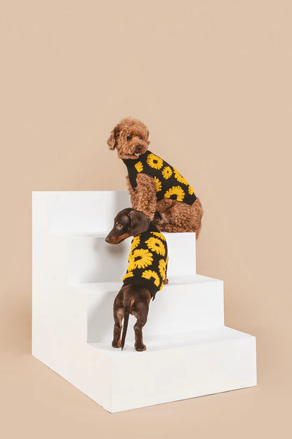 Sunflower Days Sweater