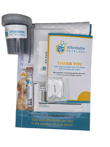 Easy Home Kit: Affordable Pet Labs Urine Culture For Cats