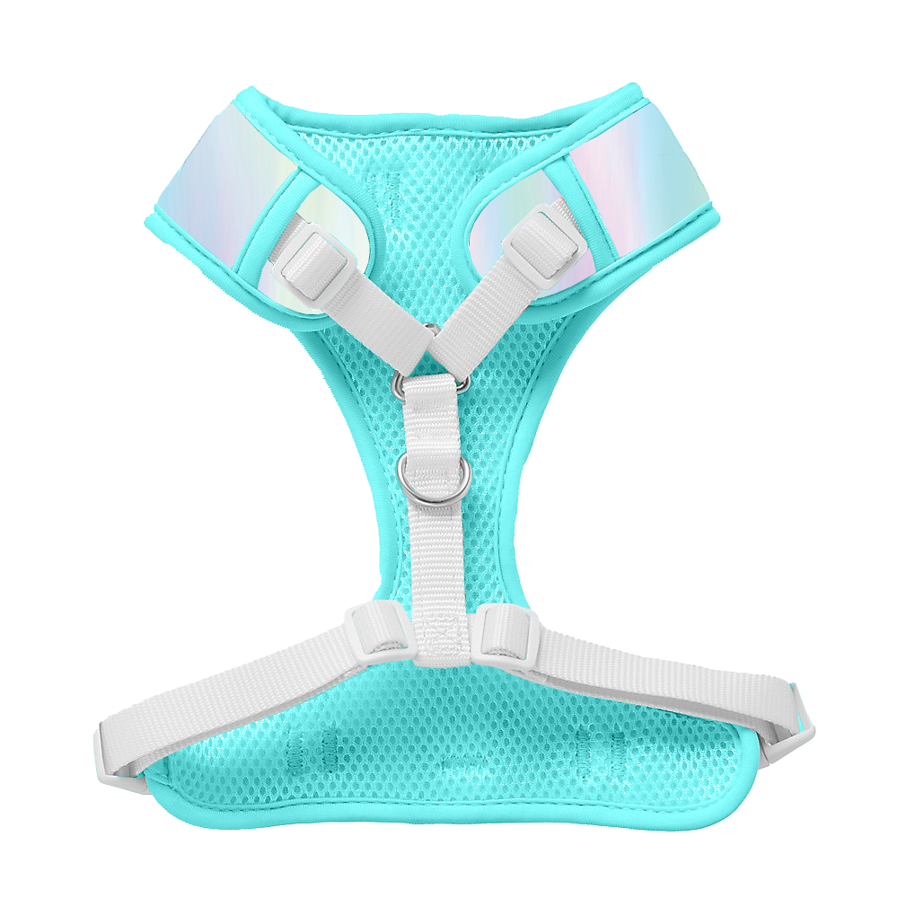 Iridescent Unicorn Harness