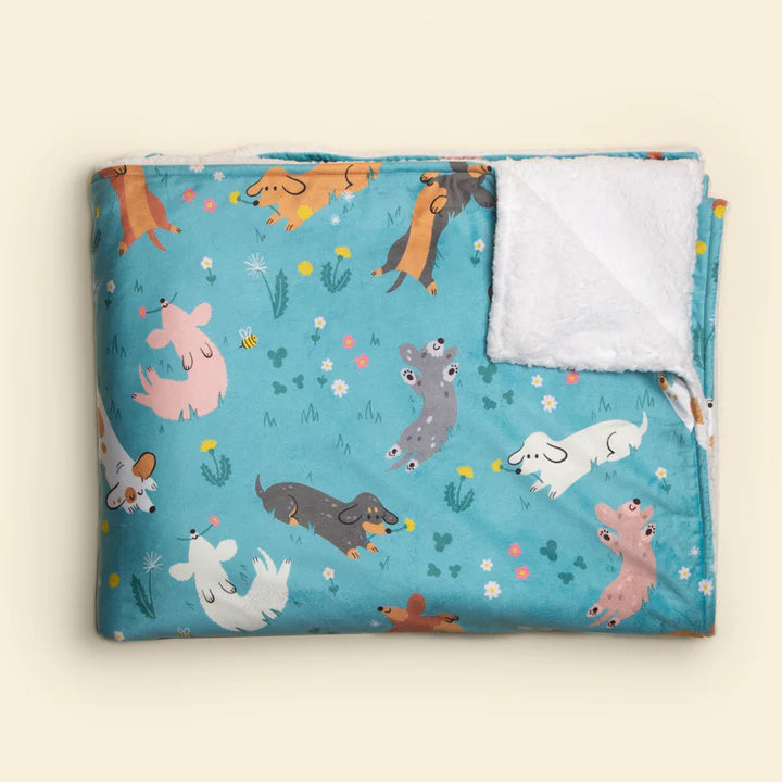 Cuddle Blanket ・ Weenie Wiggle in Spruce
