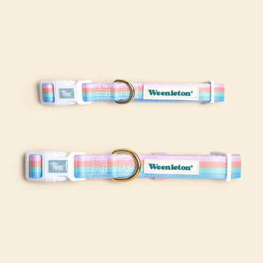 Collar・Weenbow