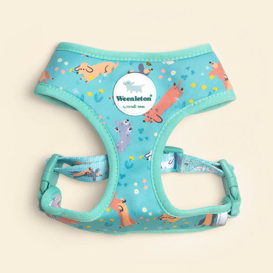 Reversible Harness・Weenie Wiggle in Mint
