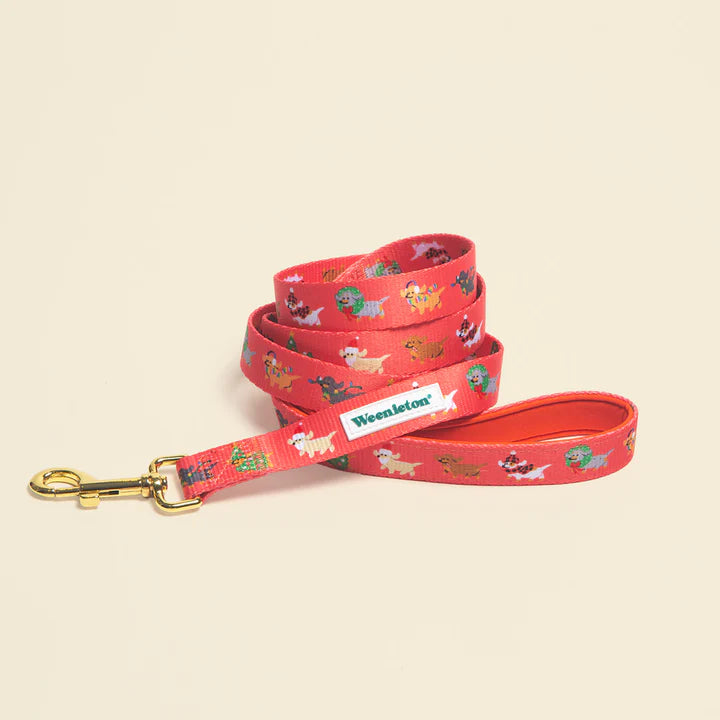Leash・Holly