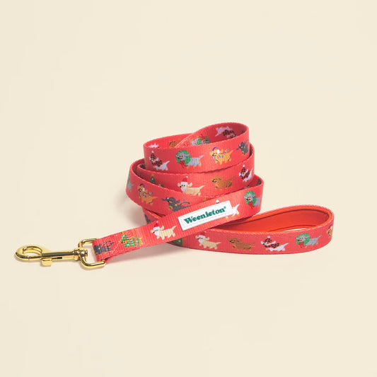 Leash・Holly