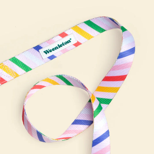 Leash・Howliday