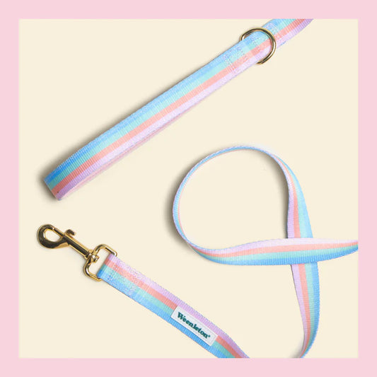 Leash・Weenbow