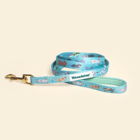 Leash・Weenie Wiggle in Mint