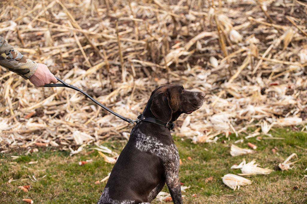 Standard Stitched ¾” X 2' Traffic Leash