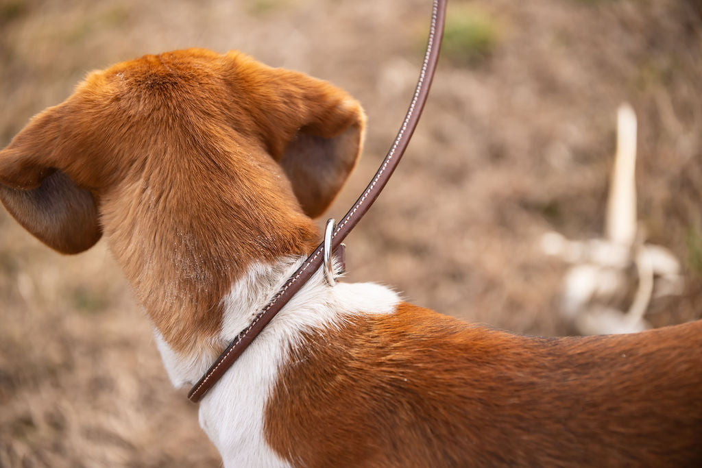 Slip Leash