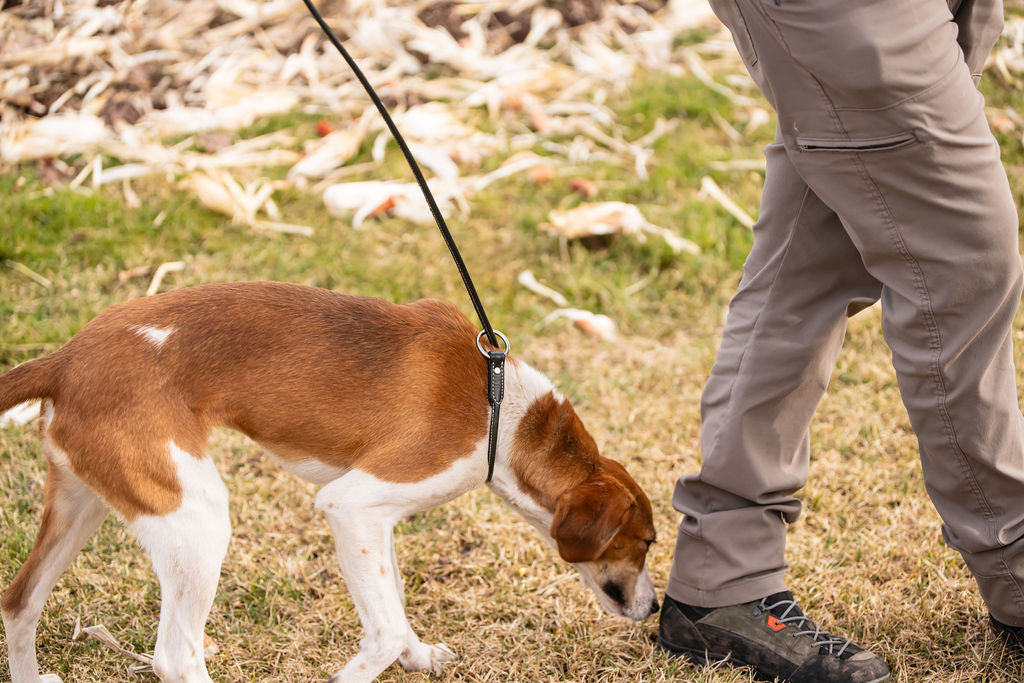 Slip Leash