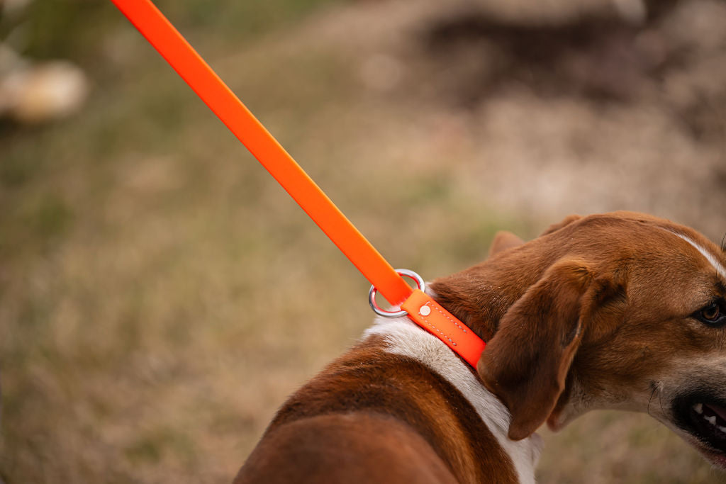 Slip Leash H.C.