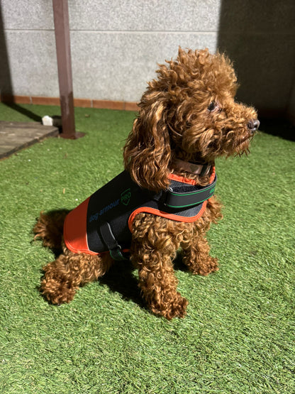 Anti-Bite Protection Vest for Dogs - Orange
