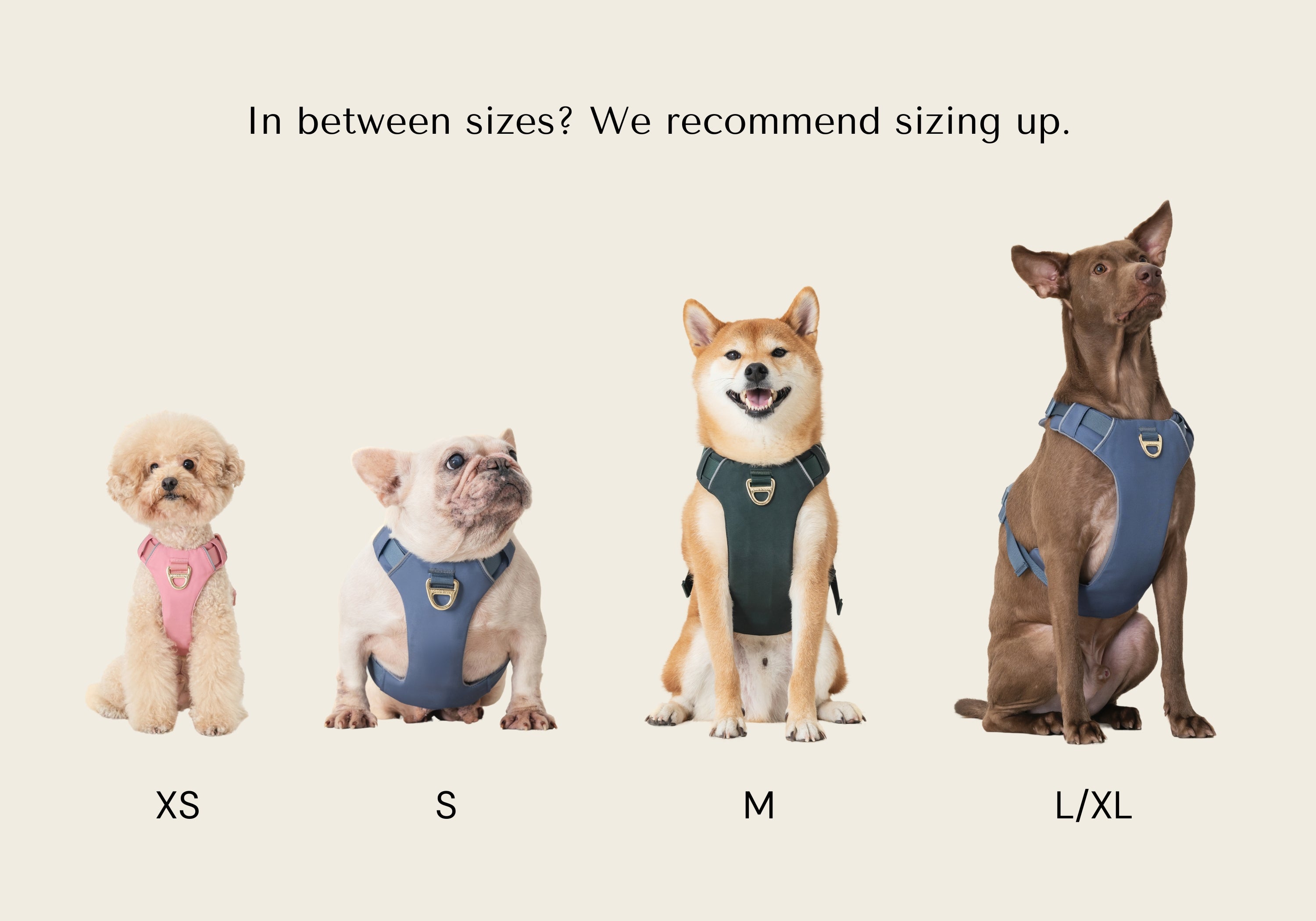 Harness - Stone Blue