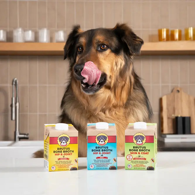Bone Broth.