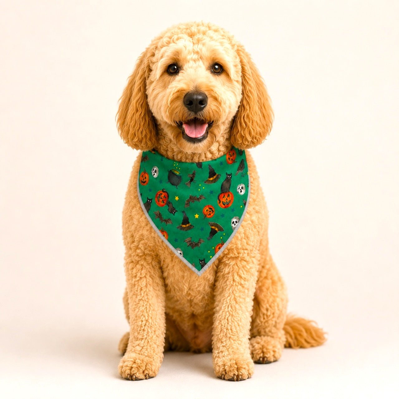 Adjustable Gold Chain Dog Bandana - Emerald Fright Night
