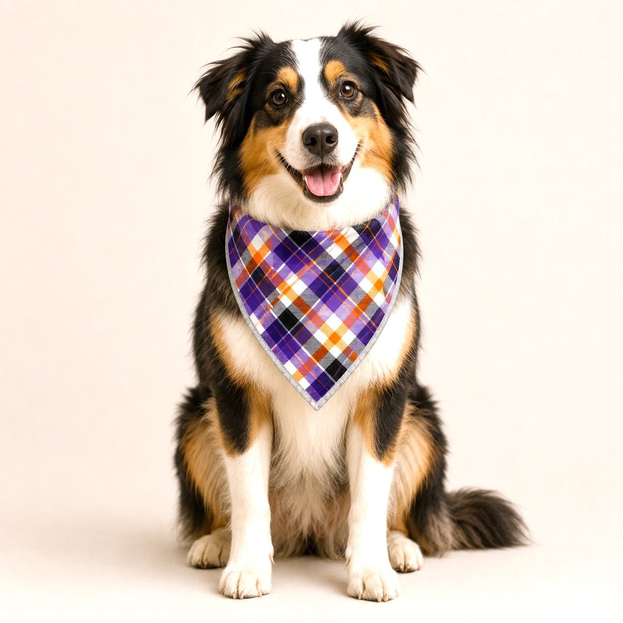 Adjustable Gold Chain Dog Bandana - Purple Halloween Plaid