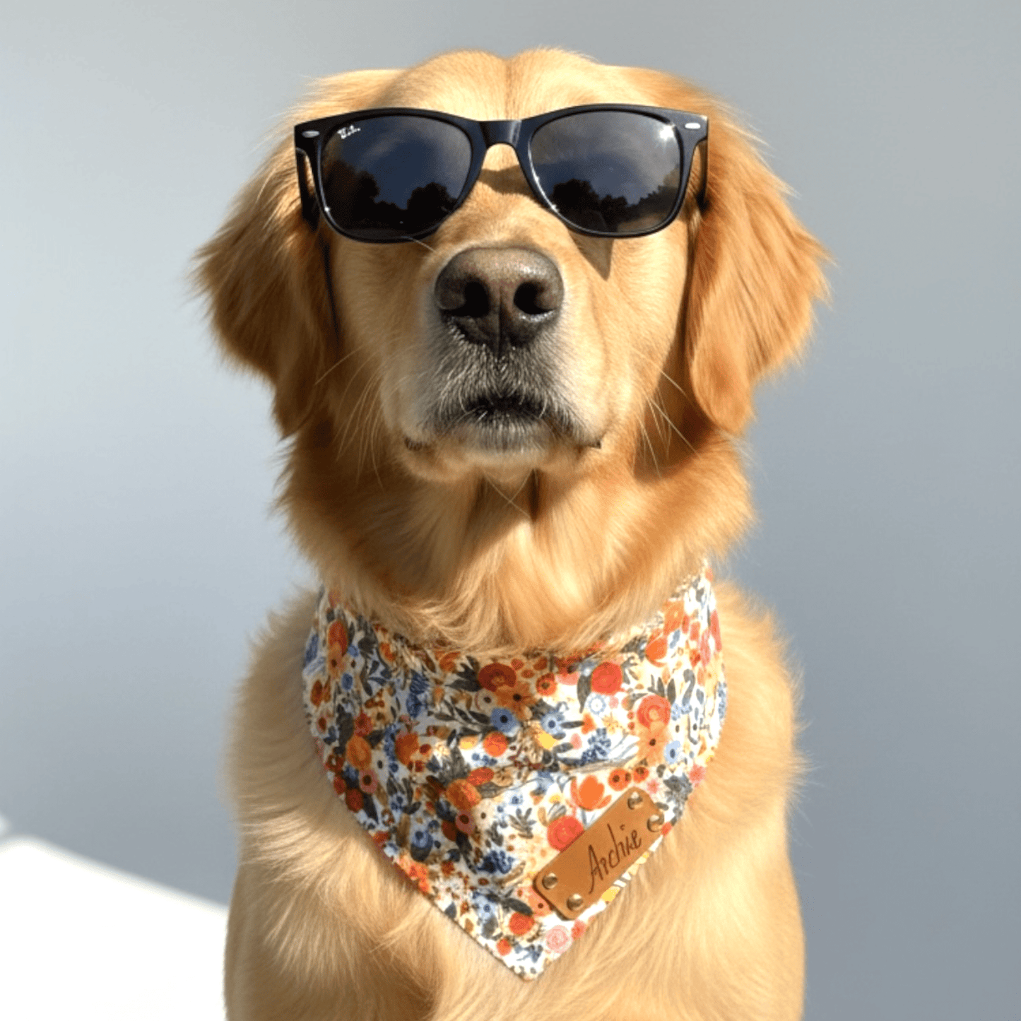 Adjustable Strap Dog Bandana With Gold Hardware & Interchangeable Prints
