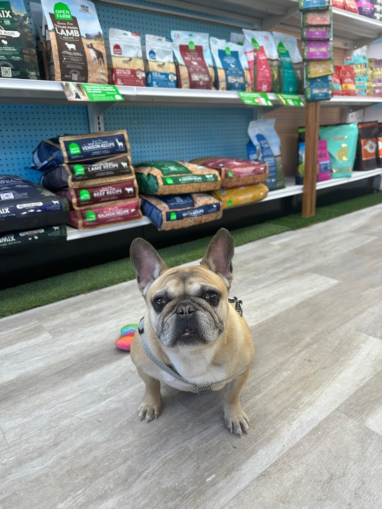 adwasc.jpeg__PID:23945991-36db-4f52-aaa0-c15370dbc1c0