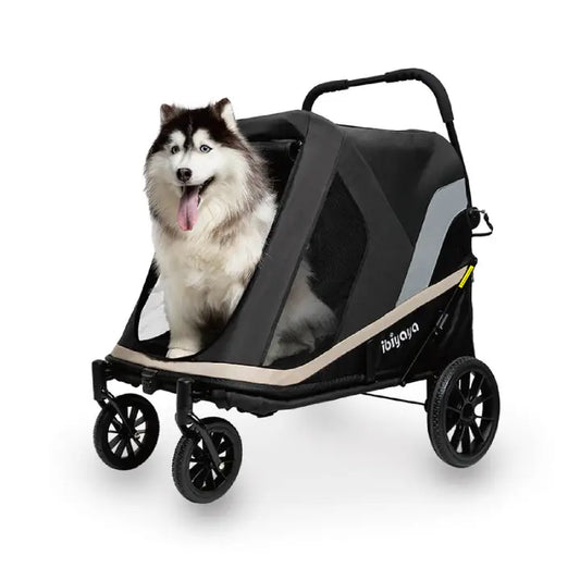 Grand Cruiser Large Dog Stroller